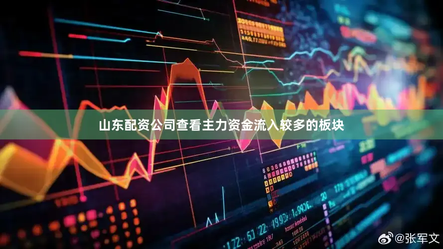 山东配资公司查看主力资金流入较多的板块