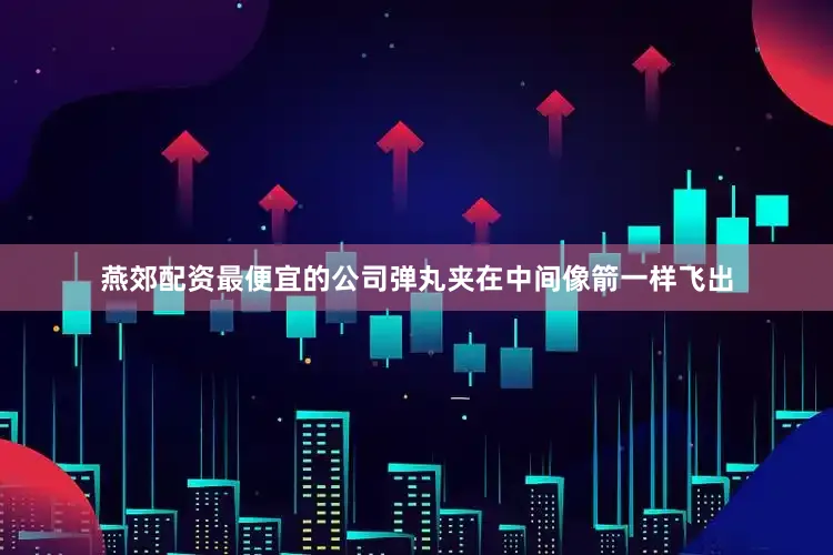 燕郊配资最便宜的公司弹丸夹在中间像箭一样飞出